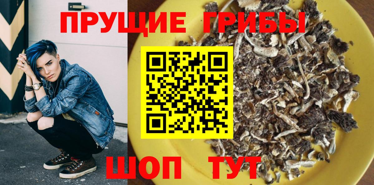 Псилоцибиновые грибы GOLDEN TEACHER Заволжье